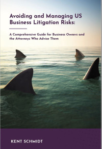 Avoiding and Managing US Business Litigation Risks: A Comprehensive Guide for Business Owners and the Attorneys Who Advise Them